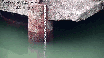 1584840346985858.gif 636663231591621037904.gif