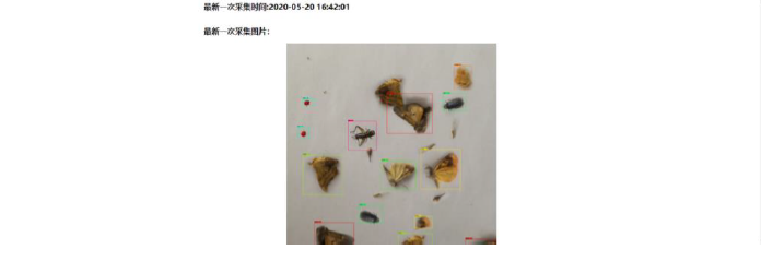 blob.png